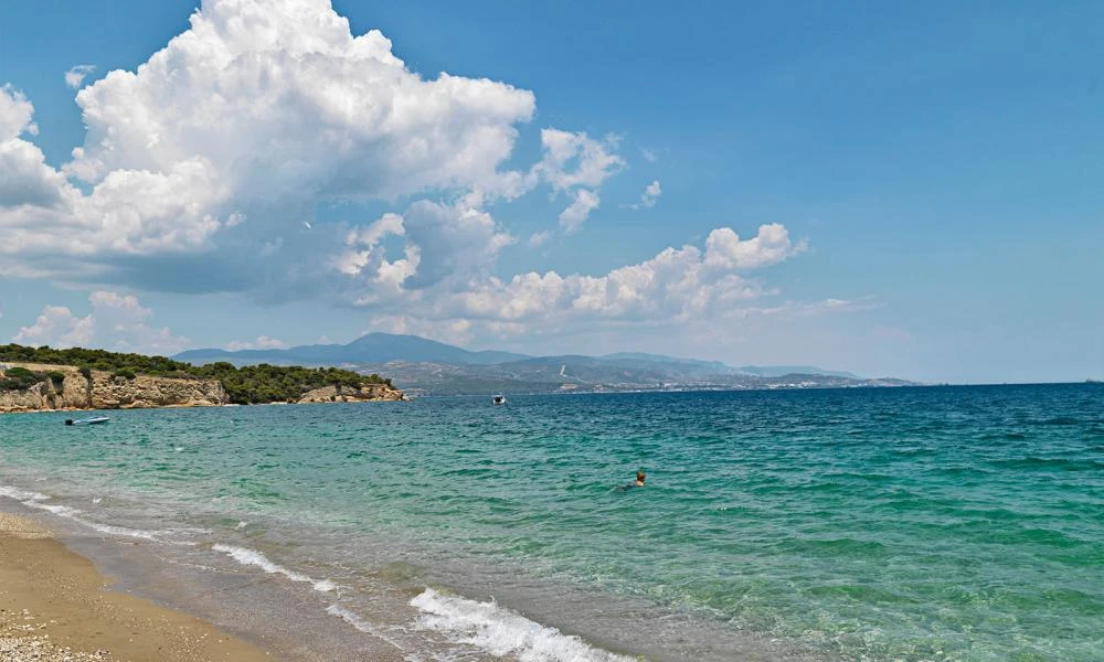 Κορινθία: Βρέθηκε όλμος κοντά σε ακτή στο Καλαμάκι- Σε επιφυλακή το Λιμενικό